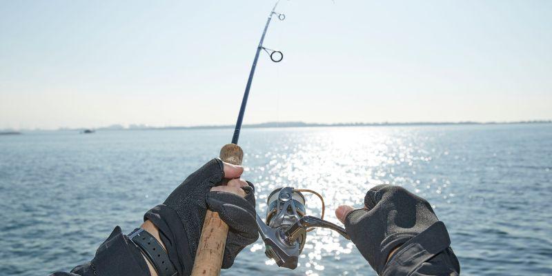 A Guide to Choosing the Most Nutritious Fish